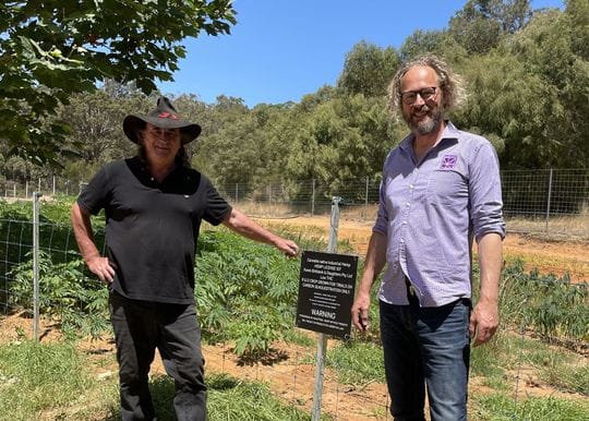 Hemp Squared ready to re-sprout after Bridgetown bushfire