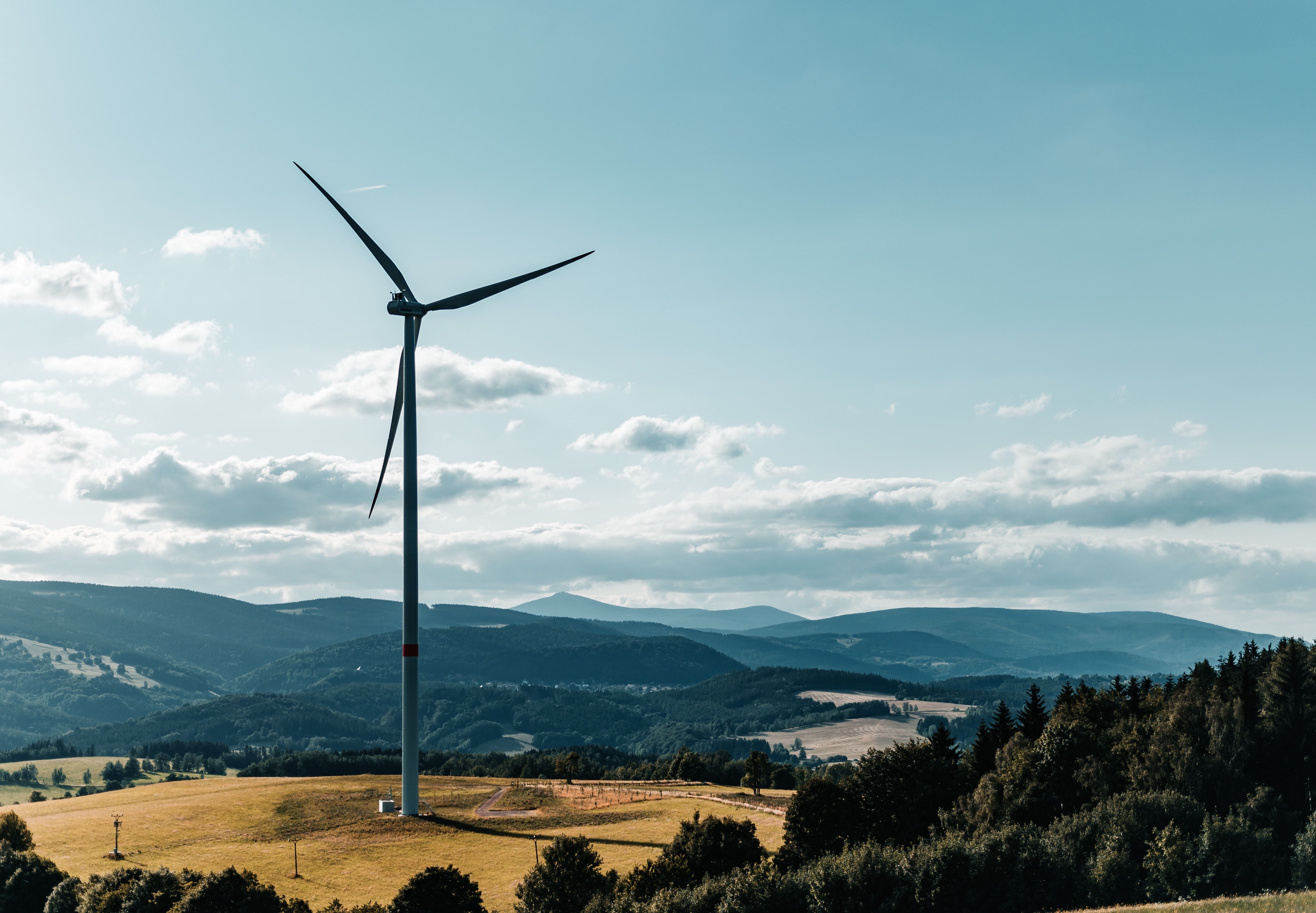 Australian Ethical delivers slight profit growth, raises red flags over fund manager "greenwashing"