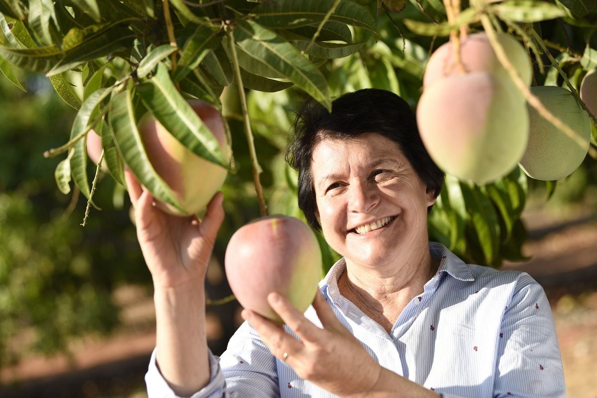 Australian fruit exporters overcome freight strain to tantalise US palates