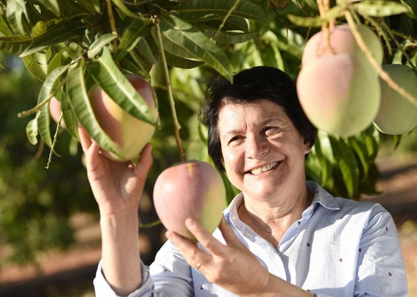 Australian fruit exporters overcome freight strain to tantalise US palates