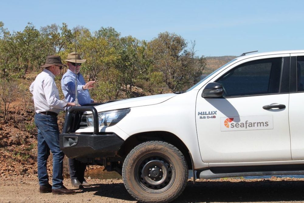 Salty farewell for Seafarms CEO Mick McMahon after boardroom coup