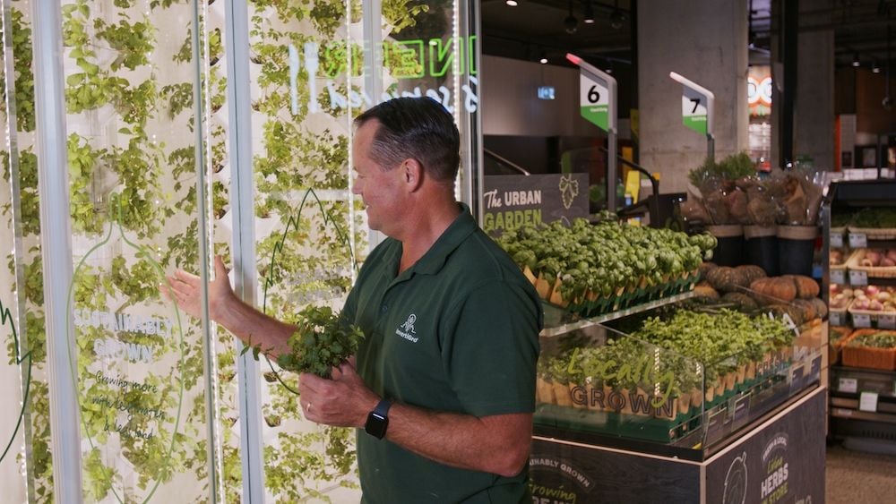 Woolworths partners with startup InvertiGro to launch Australia's first in-store vertical farm