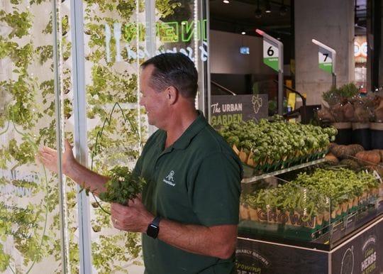 Woolworths partners with startup InvertiGro to launch Australia’s first in-store vertical farm