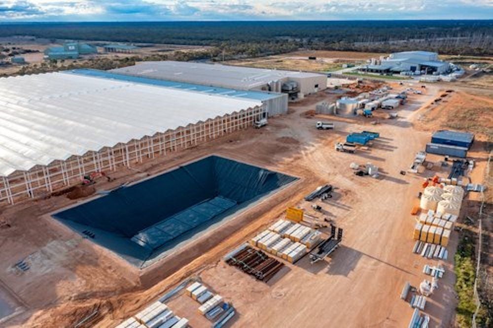 Flagship Mildura facility blazing a trail for Cann as harvest begins on first commercial crop