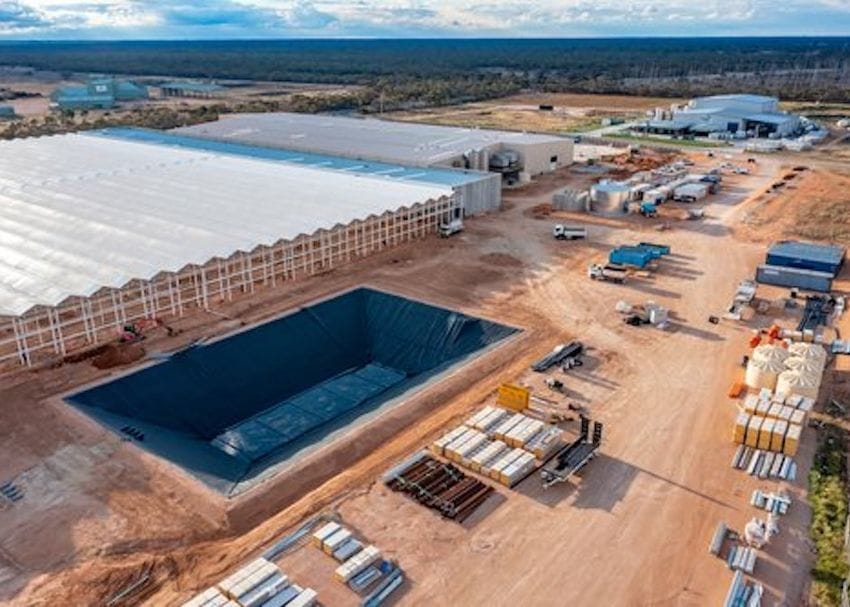 Flagship Mildura facility blazing a trail for Cann as harvest begins on first commercial crop