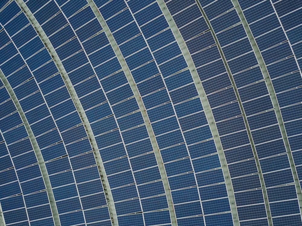 Twiggy Forrest-backed intercontinental solar power project deemed ‘investment ready'