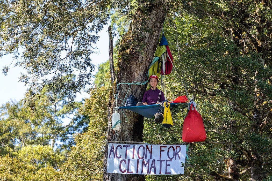 “This is huge”: Bob Brown succeeds in Federal Court bid to protect Tasmanian rainforest