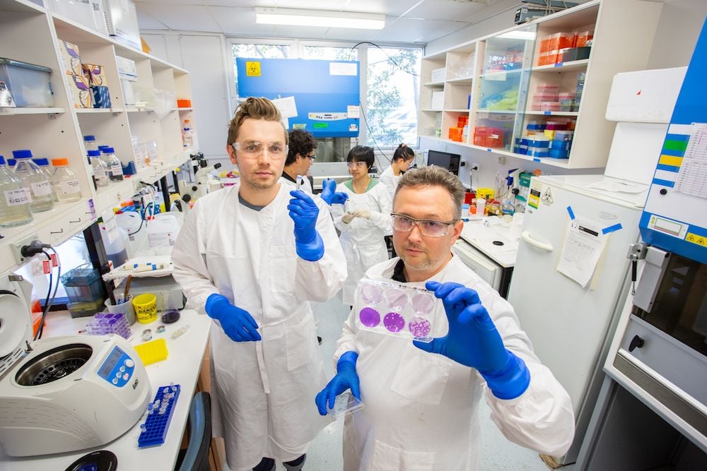 Queensland-made vaccine patch Vaxxas proves effective against Omicron variant