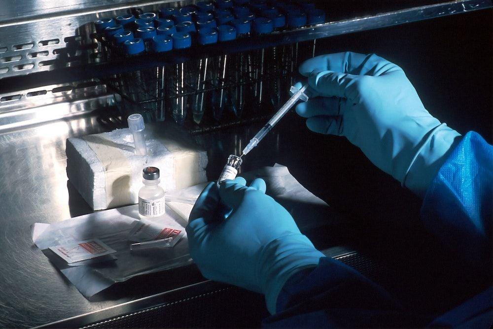 Mesoblast shares slide on $65m capital raise announcement