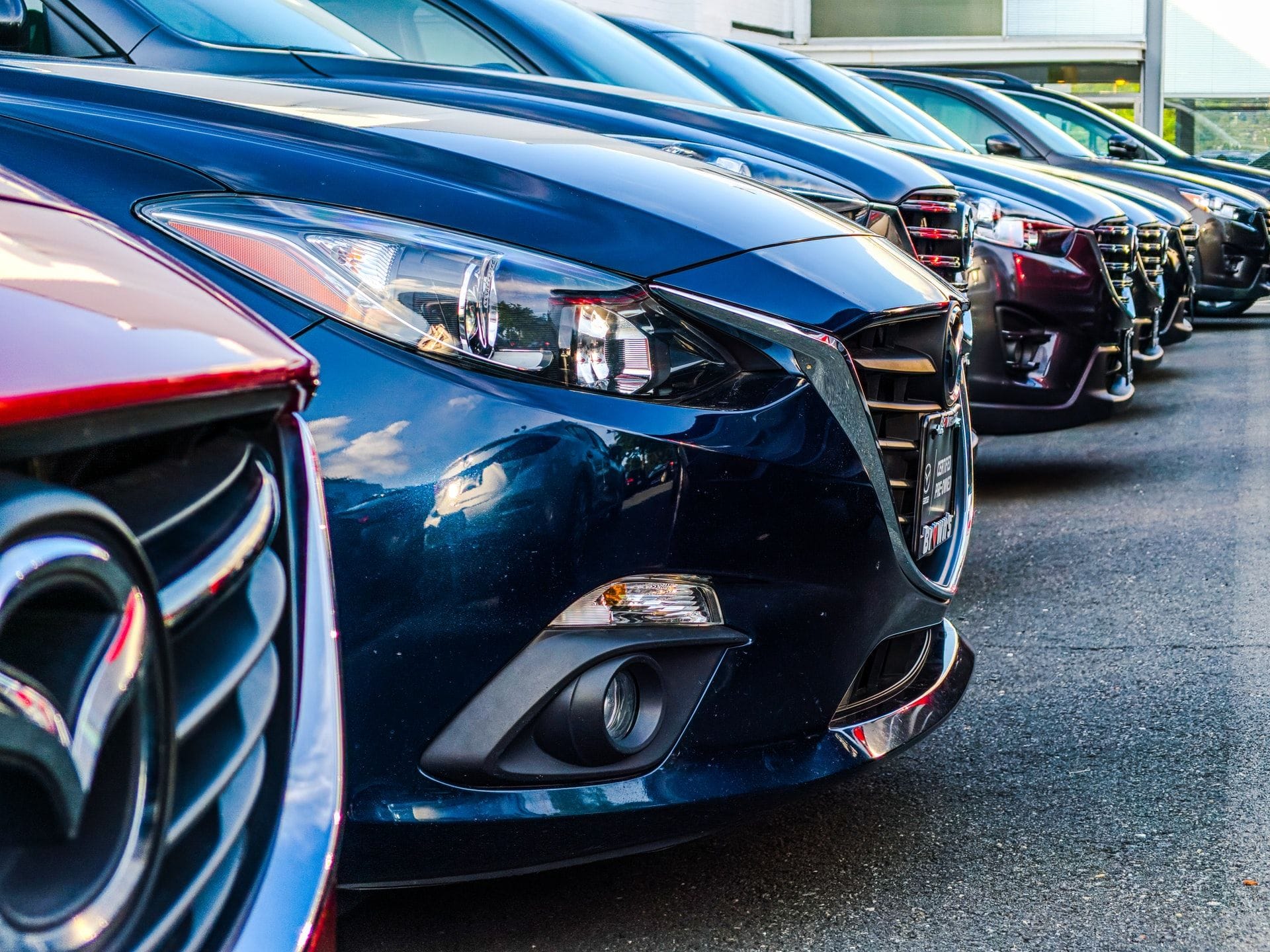 Carsales.com firing on all cylinders as profit accelerates to $161m