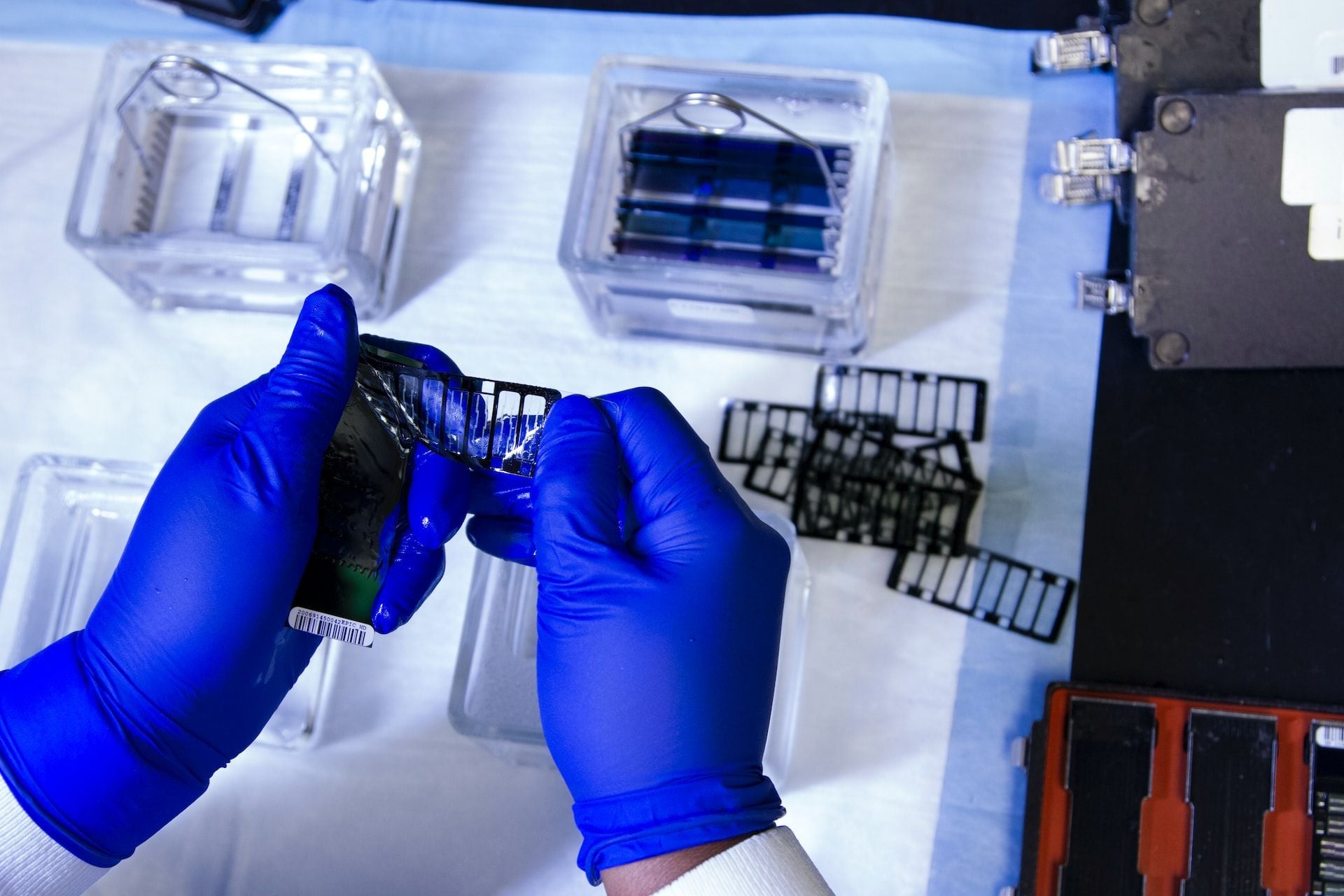 Forrest aims to fast-track life-changing health tech with $250m investment in Tenmile