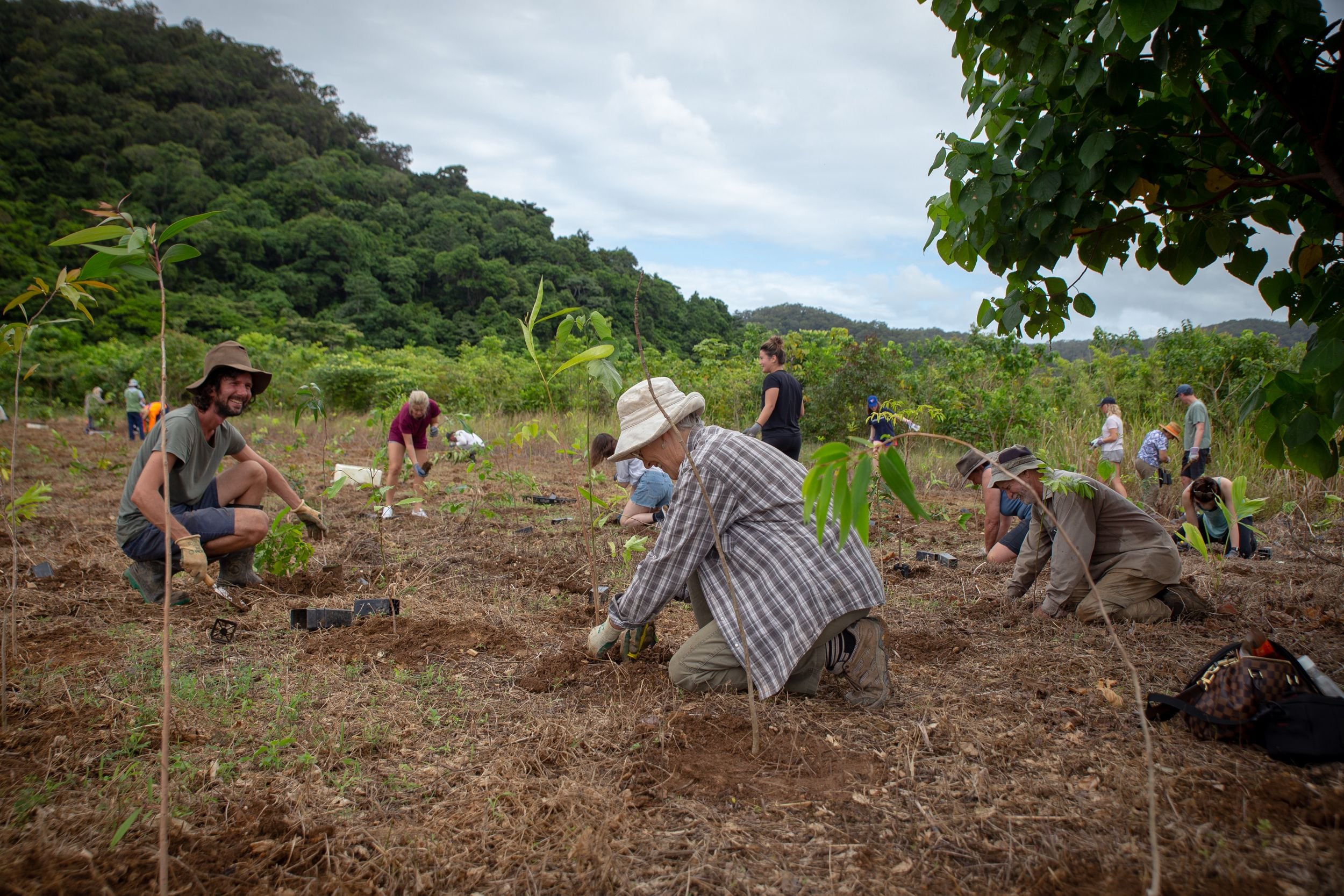 BioPak unveils tree planting milestone after decade-long partnership with Rainforest Rescue