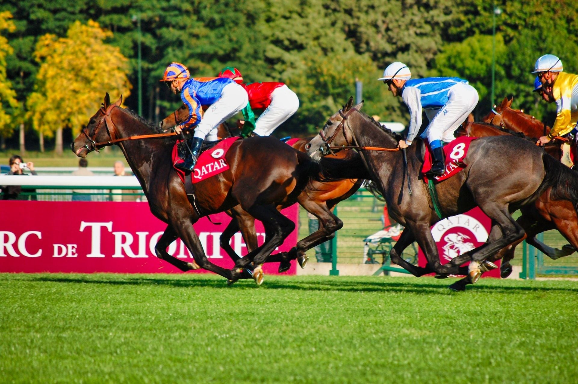 AUSTRAC appoints auditors to Sportsbet and Bet365 in financial crimes crackdown