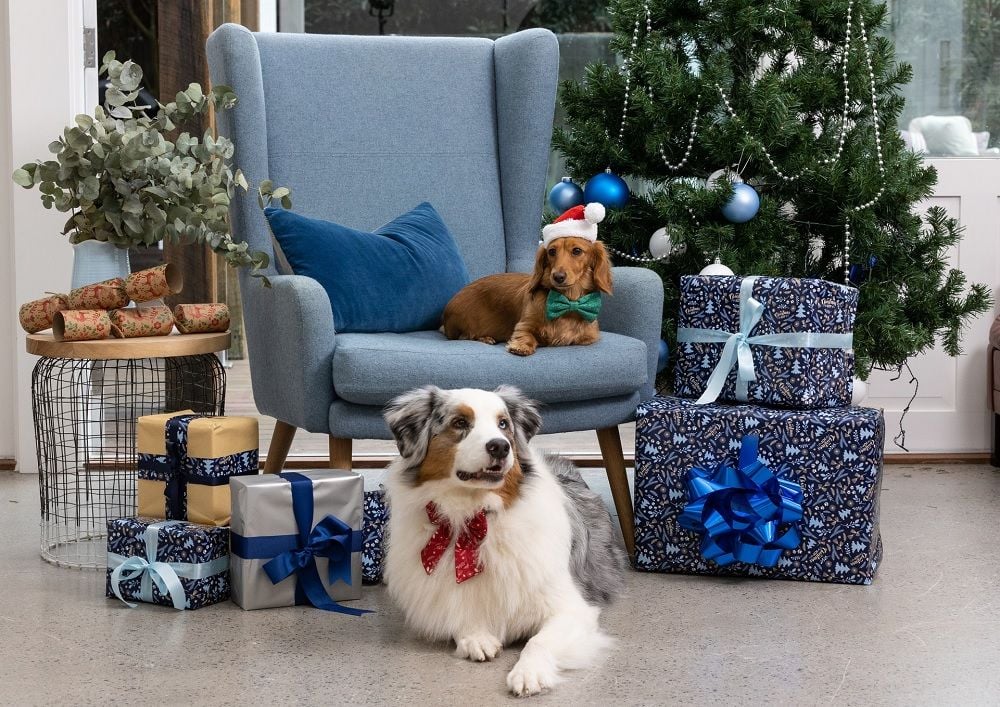 Petspiration valued at 1.7 billion after Woolies investment