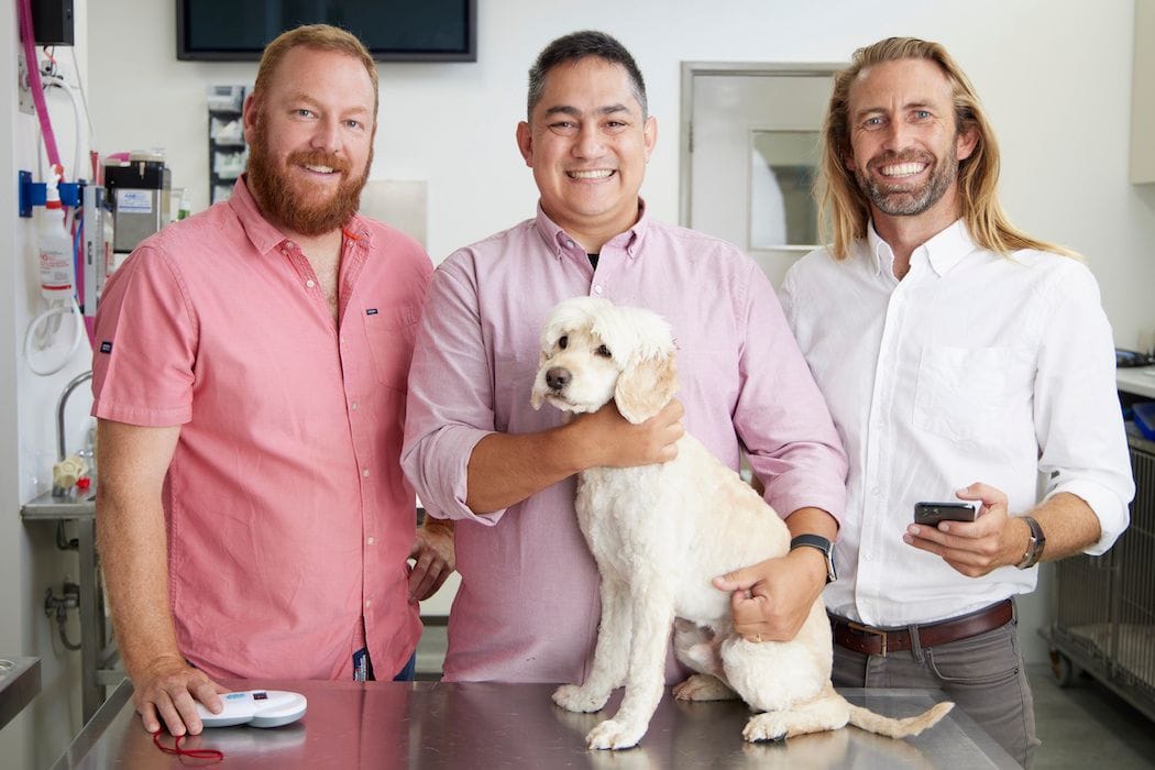 Vet-tech Vedi vies for UK paw print after securing $3m investment