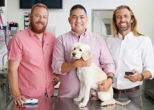 Vet-tech Vedi vies for UK paw print after securing $3m investment