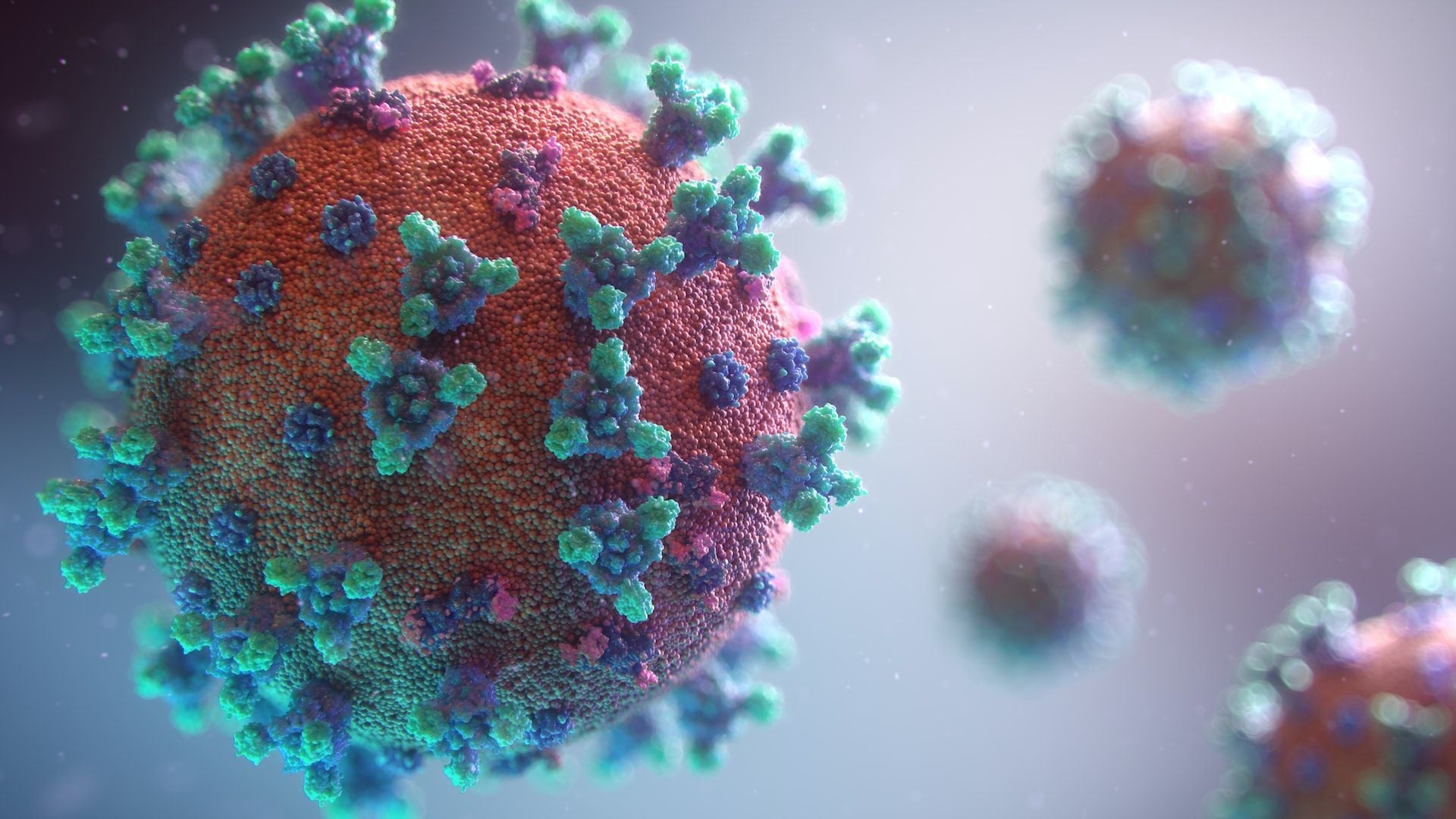 OzKleen to manufacture breakthrough long-lasting anti-COVID spray developed by UQ researchers