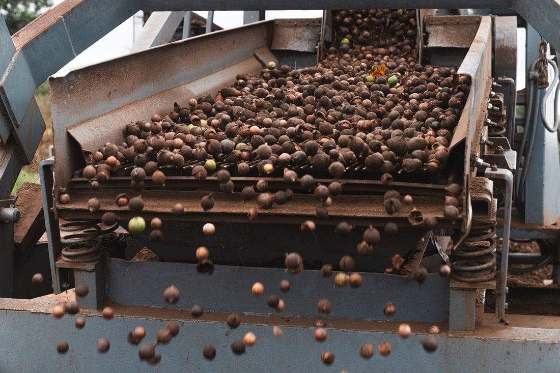 HPP, formerly Buderim Group, to be shelled through $33m MacFarms macadamia business sale