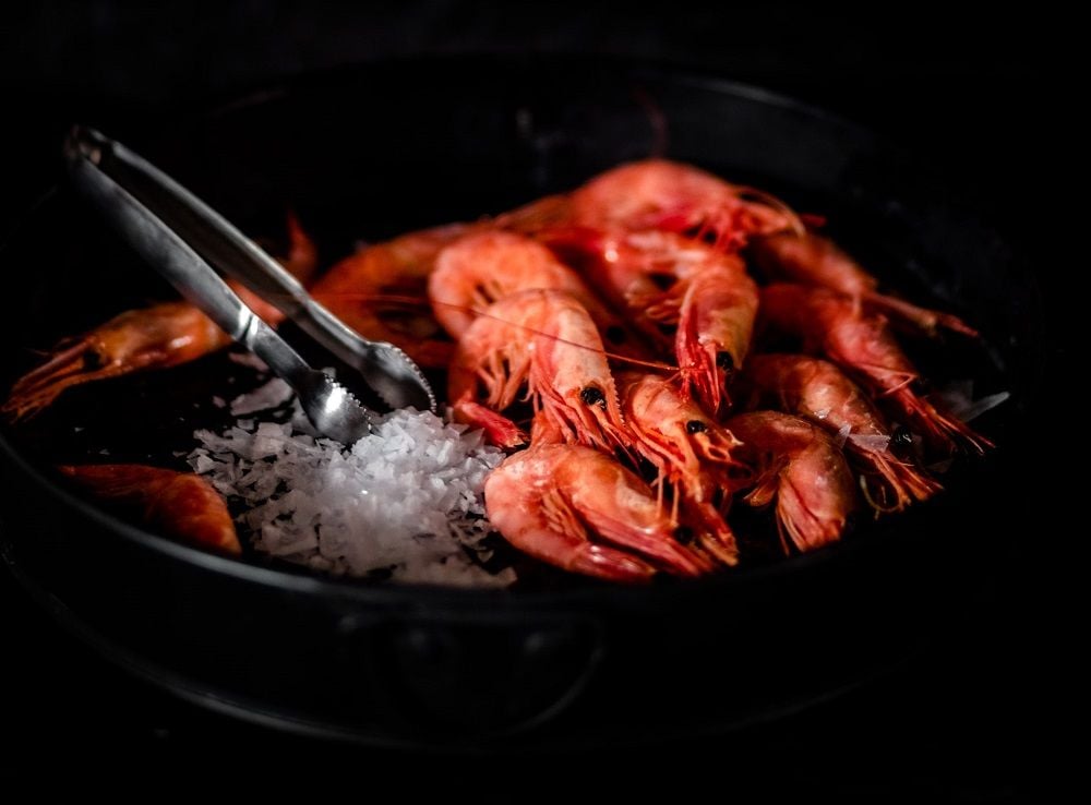 Seafarms calls in administrators for ambitious $1.7 billion prawn farm project