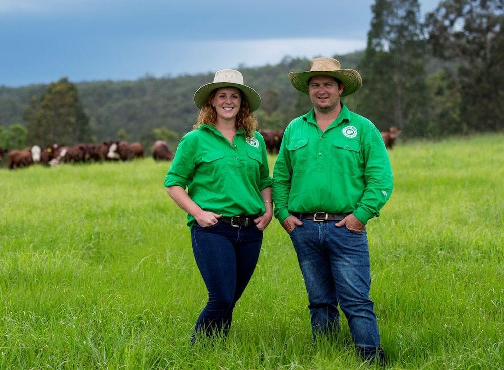 Mad for meat: Our Cow crowdfunding campaign rushes towards $2.6m target