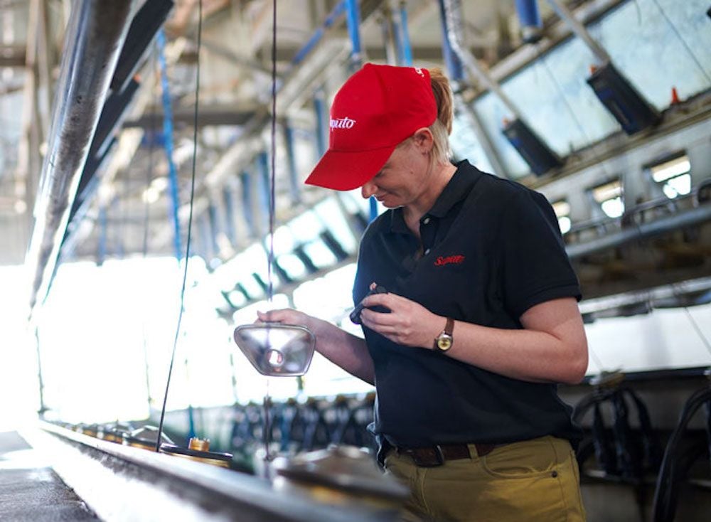 Coles buys two milk processing facilities in $105m deal with Saputo Dairy Australia
