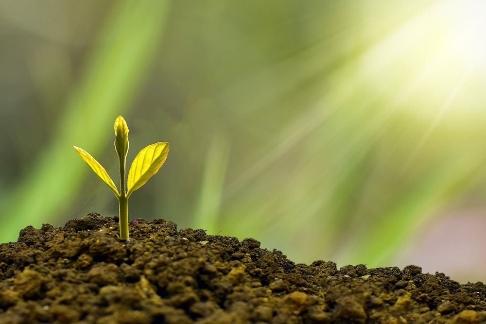 ASIC hits Future Super with greenwashing fine over Facebook post