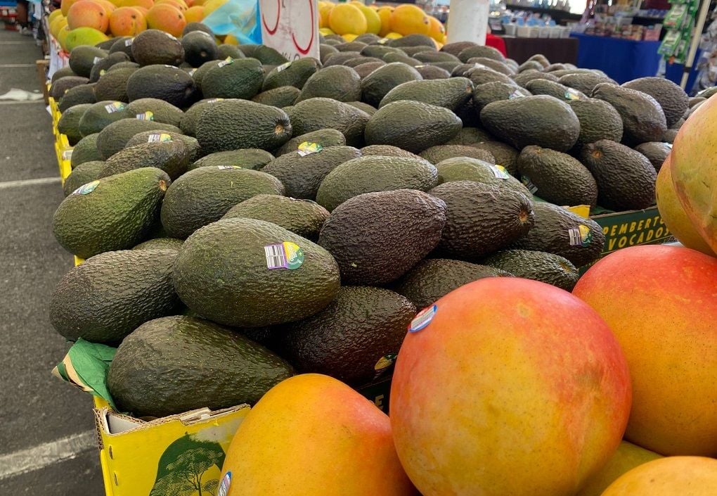 Brisbane Markets clears "pathway" for ASX listing