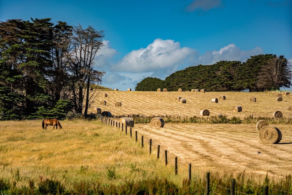 HECS for farmers? Nature repair loans could help biodiversity recover – and boost farm productivity