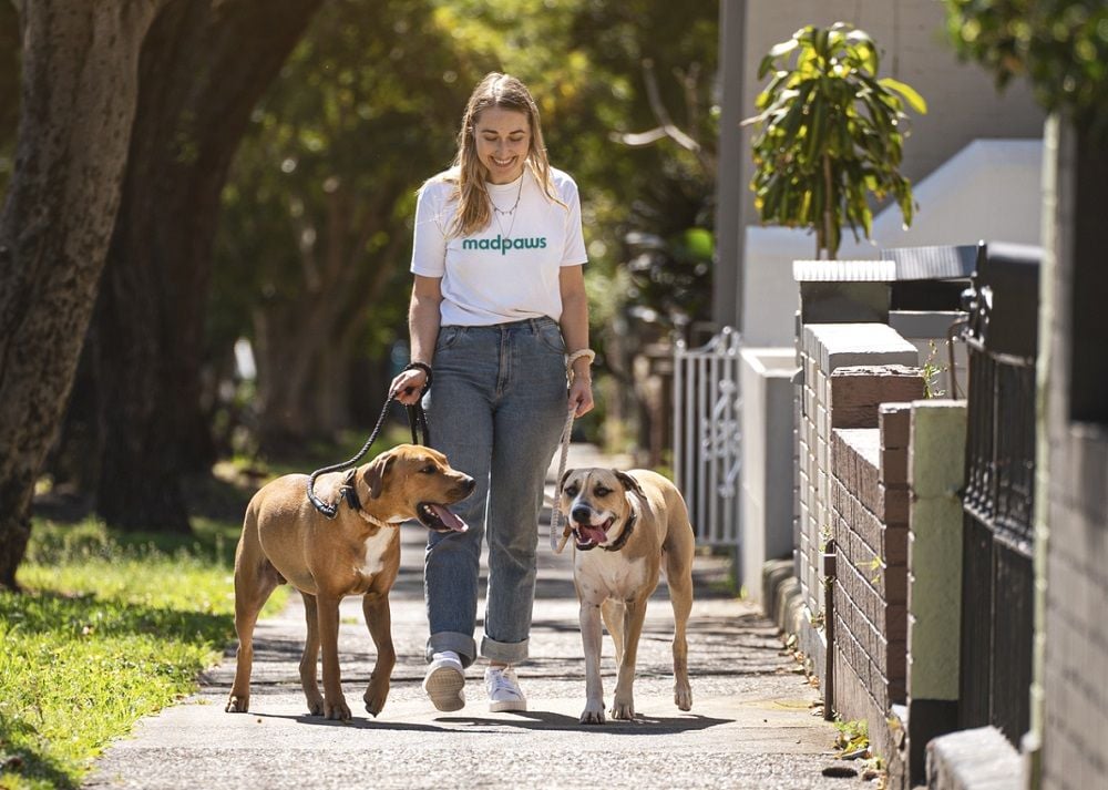 Mad Paws forecasts EBITDA positive September quarter