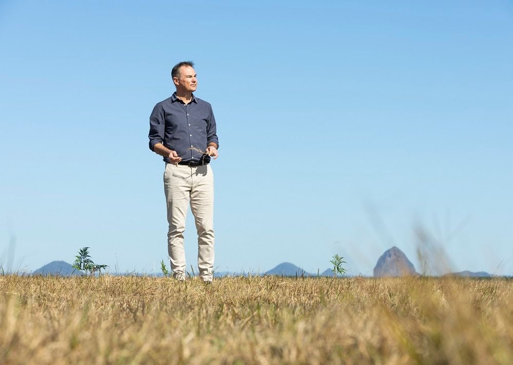 Former pine plantation on Sunshine Coast in Stockland's sights for development
