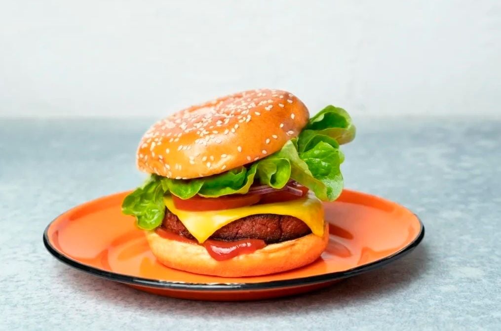Cultivated meat startup Magic Valley teams up with US virtual simulator Biocellion