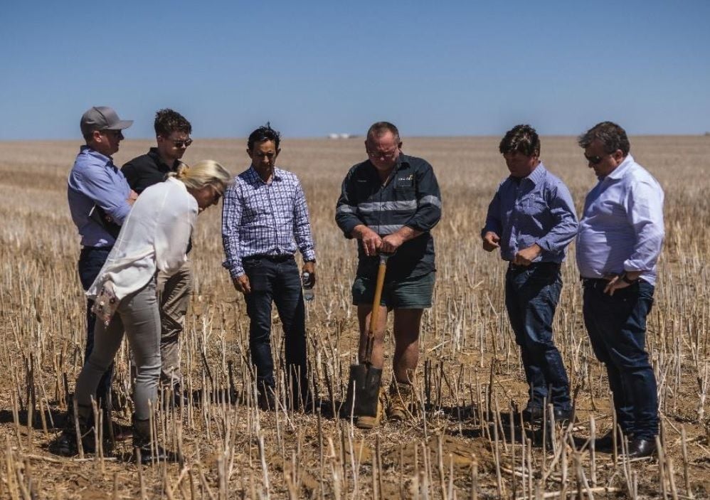 CommBank backs RLF AgTech soil carbon credit pilot scheme