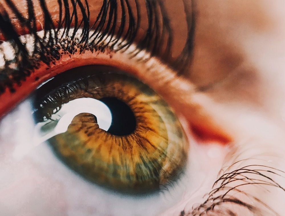 Biotech Opthea eyes $80m raise to back retinal disease therapy trials
