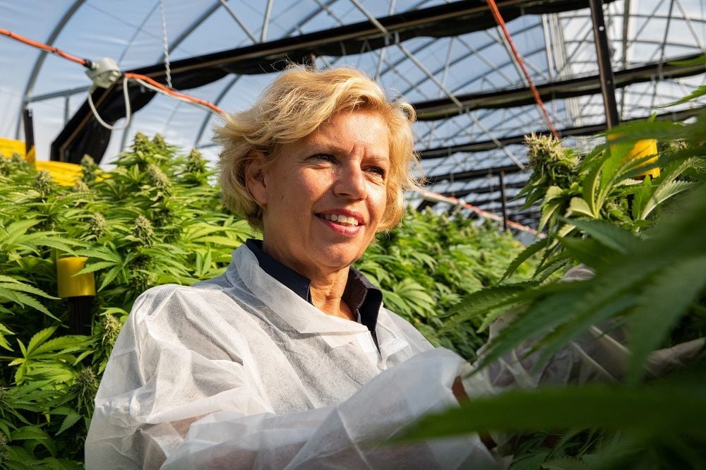 Medicinal cannabis grower ECS Botanics locks in $24m supply deal with MediCann Health
