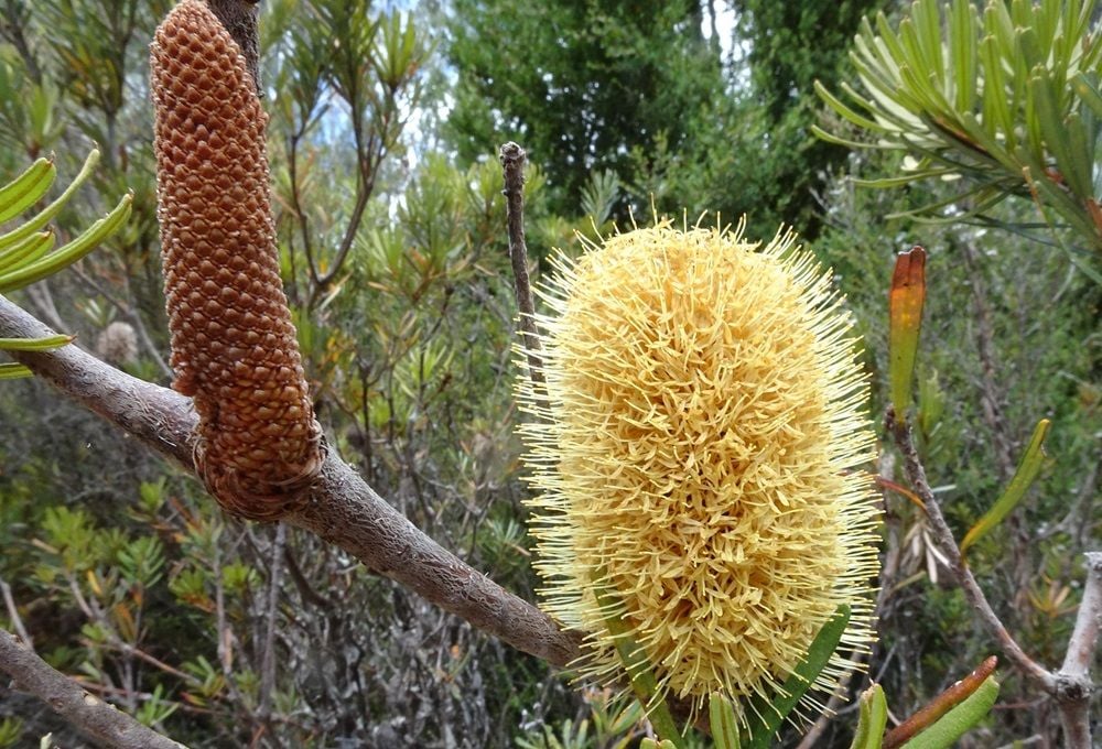 We must assess ‘cumulative impacts’ to protect nature from death by a thousand cuts