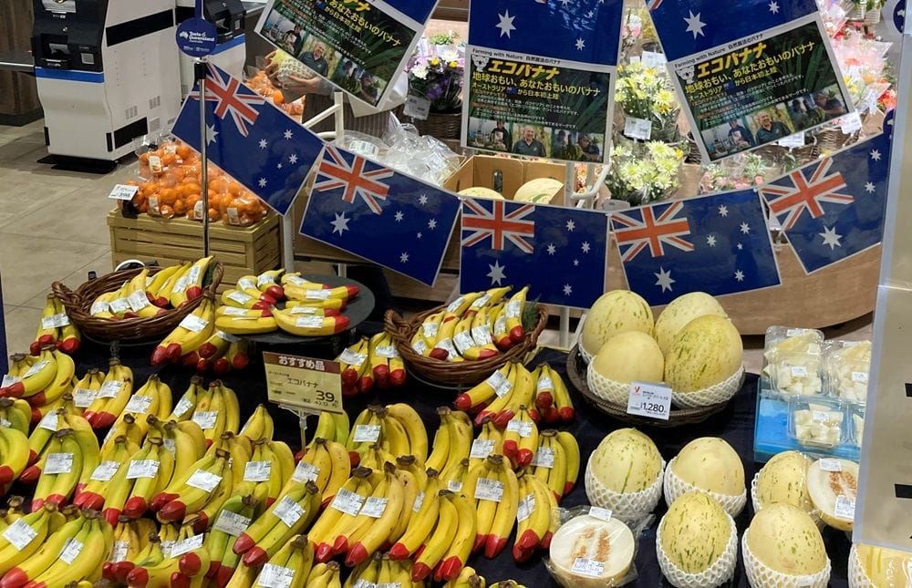 Japan receives Australia-first trial of QLD-grown melons and 'Ecoganic' bananas