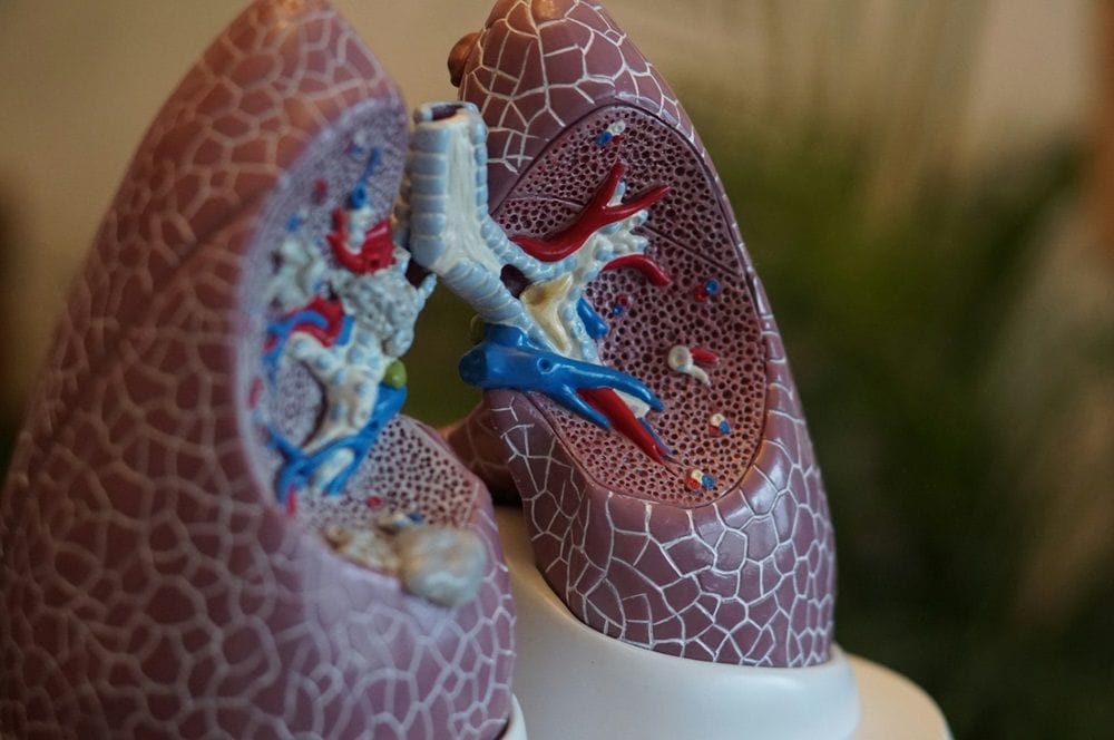 Respiratory tech group 4DMedical to acquire US-based Imbio for up to $68m