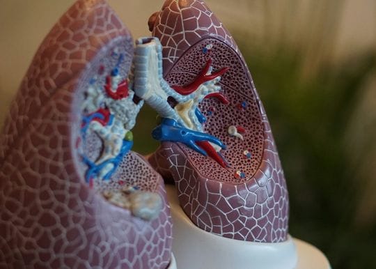 Respiratory tech group 4DMedical to acquire US-based Imbio for up to $68m