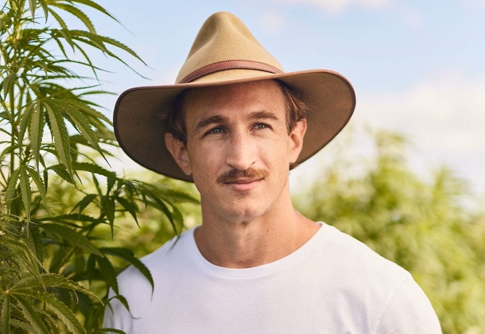 Hemp Farms Australia booming as seed IP gains from new market channels
