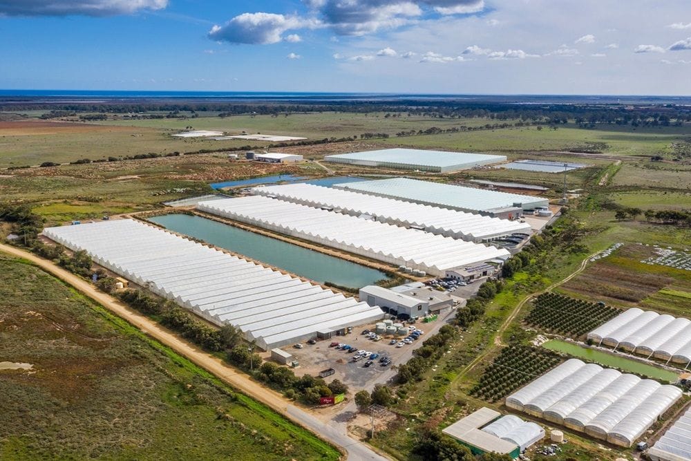 Centuria Capital builds on glasshouse assets with $21.5m Adelaide Plains acquisition