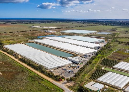 Centuria Capital builds on glasshouse assets with $21.5m Adelaide Plains acquisition