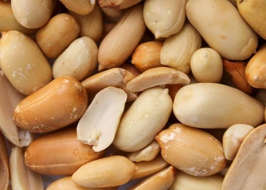 Aravax raises $66m for peanut allergy cure as Victoria leads the way