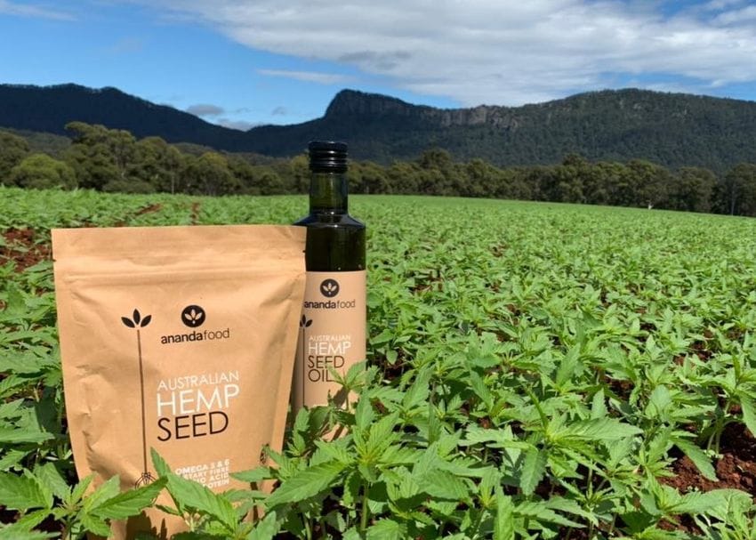 Ecofibre to sell hemp seed and food business to Elixinol for $3m