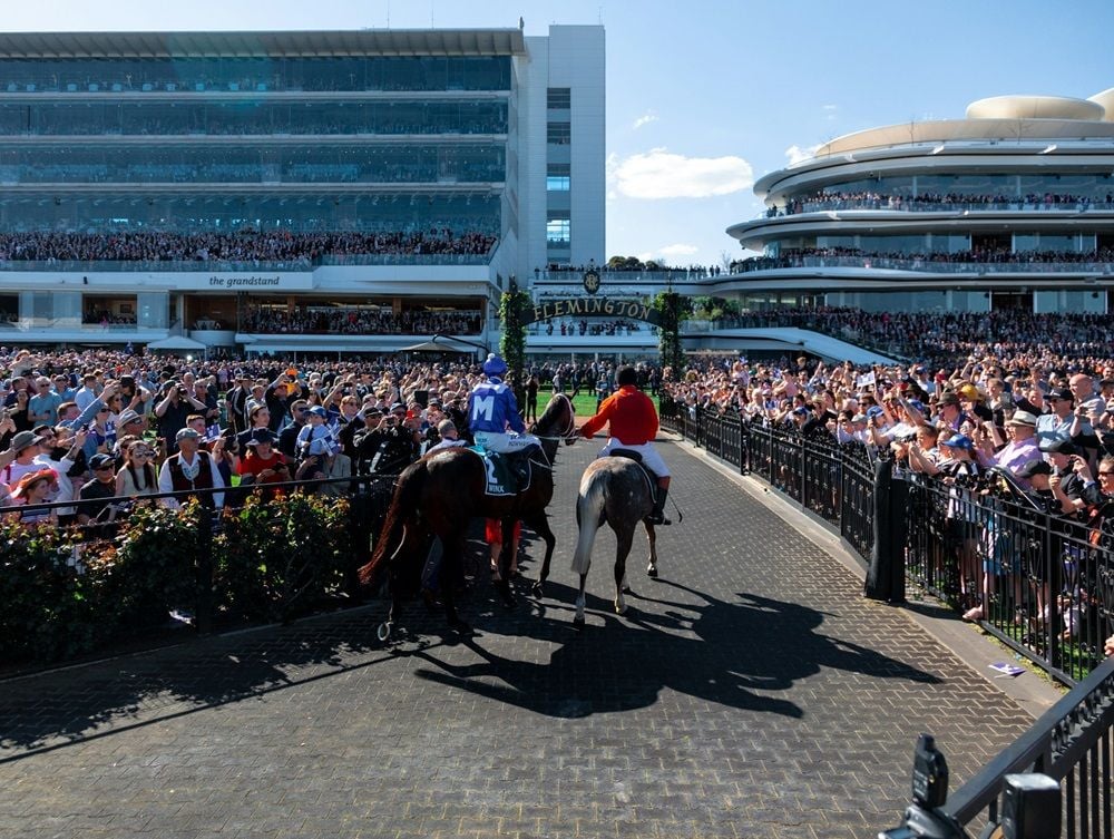 AUSTRAC launches enforcement probe into owner of online bookmaker Bet365