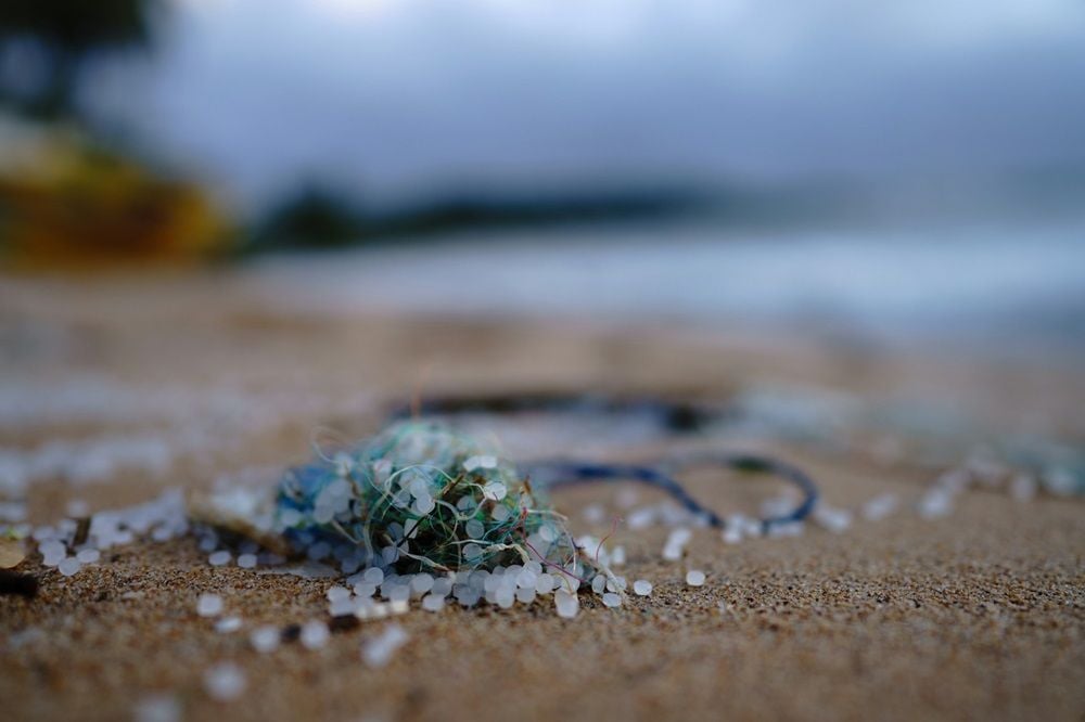 Study links microplastics with human health problems – but there’s still a lot we don’t know