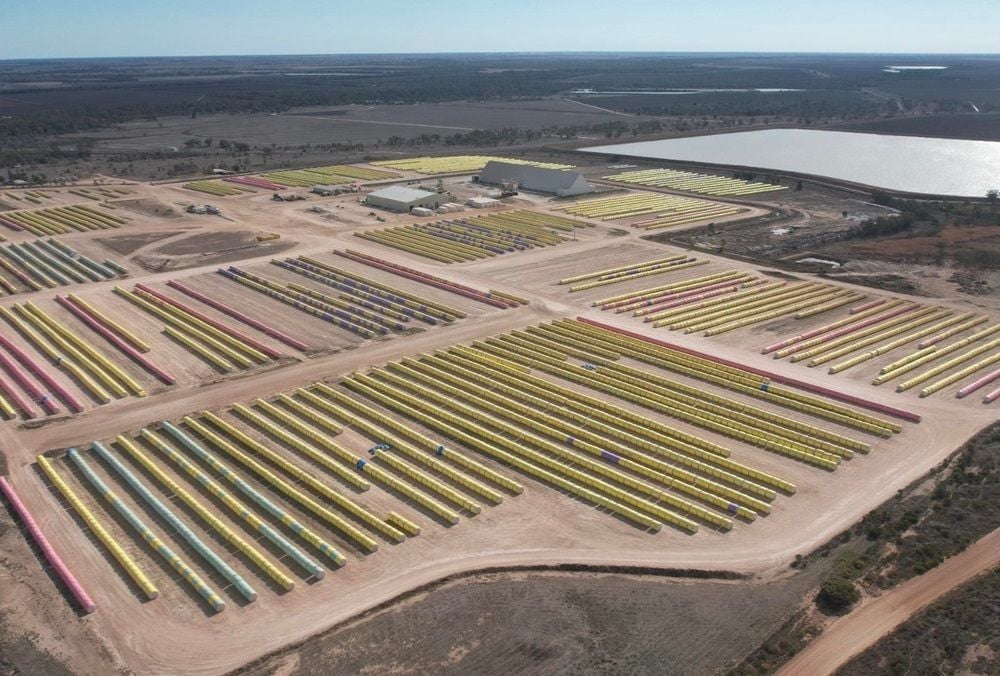 Singaporeans battle for control of Namoi Cotton as Olam’s $122m bid trumps Louis Dreyfus