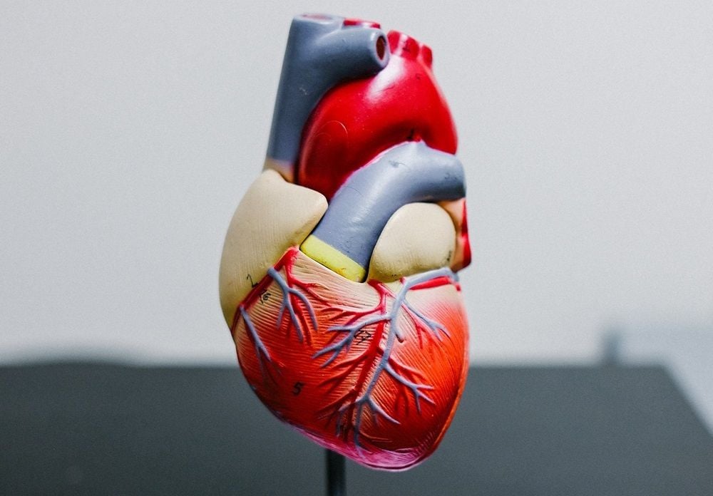 AI medtech Artrya secures first Australian commercial agreement with The Cardiac Centre NSW