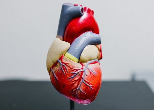 AI medtech Artrya secures first Australian commercial agreement with The Cardiac Centre NSW