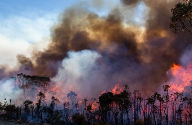 Vastly bigger than the Black Summer: 84 million hectares of northern Australia burned in 2023