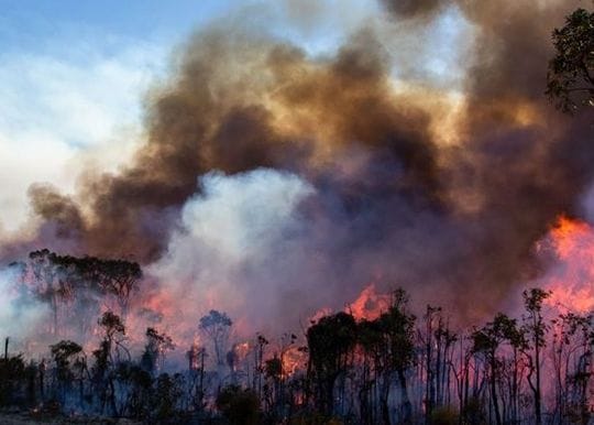 Vastly bigger than the Black Summer: 84 million hectares of northern Australia burned in 2023